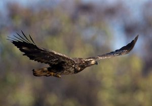 2022-11-17  BE IF JUVI_1.jpg