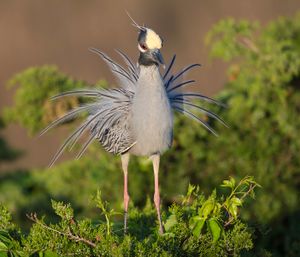 2019-05-24 YCNH DISPLAY _2v2.jpg