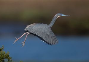 2023-04-25 TCH_02_29v2.jpg