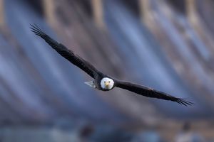 2025-10-28 BE_11v2 copy.jpg