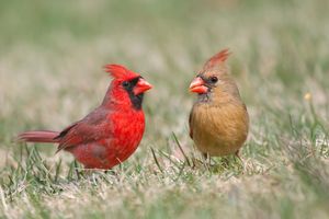 2015-04-15 Card MF V2.jpg