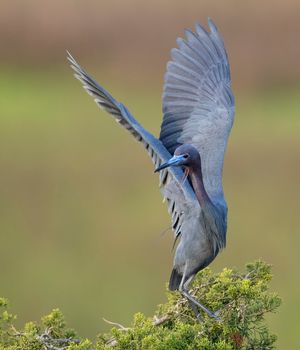 2023-05-08 LBH_02_7v2.jpg