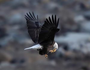 2025-10-28 BE_2V2 copy.jpg