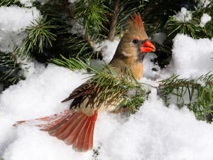 2013-01-26 CardF5V2TEDWEB.jpg