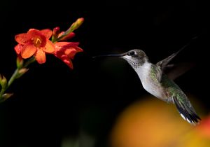 2023-07-25 RTHUM JUVI 01_1v2.jpg