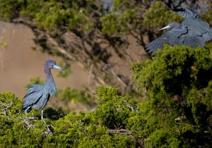 2023-04-18  LBH _03_9V2.jpg