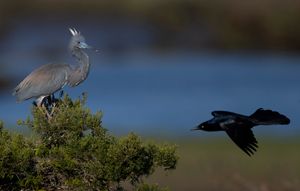 2023-04-25 TCH_02_22v2.jpg