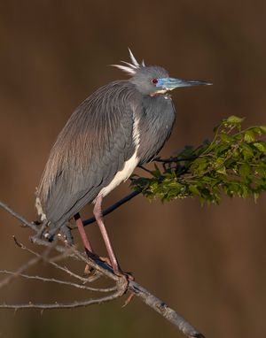 2023-04-25 TCH_01_7V2.jpg