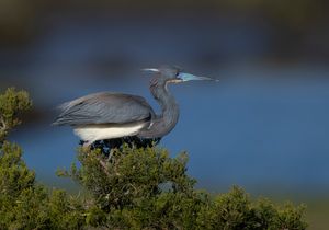 2023-04-25 TCH_02_26v2.jpg