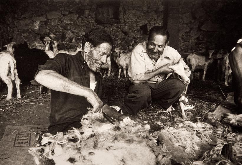 Shepherds, Agios Georgios, Crete