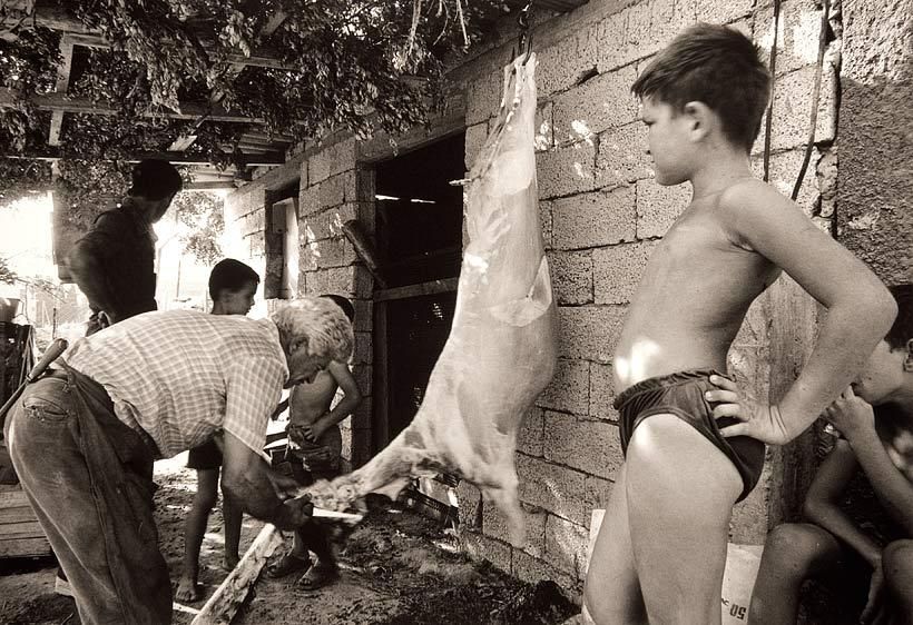 Butchering, Pitisdia, Crete