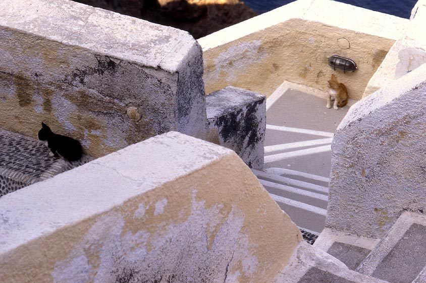 Stairs and Street, Thera, Santorini