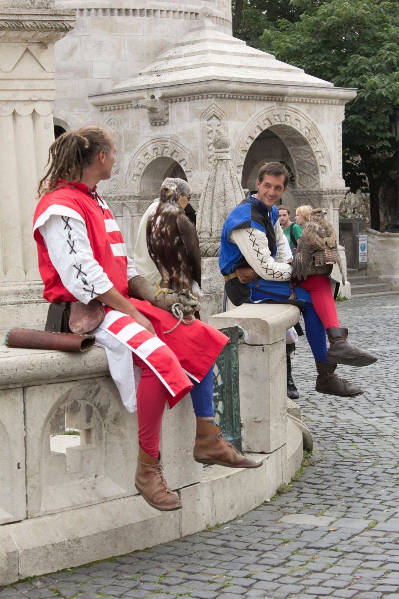 1hawk_guys_fishermans_bastion.jpg