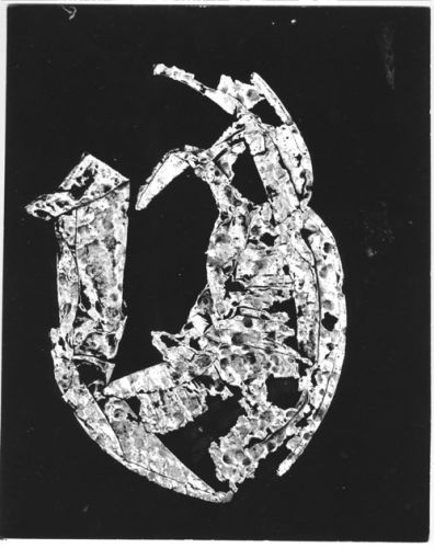 20 X 24 INCHESENTRADA ARCHIVAL PRINT ASTOR PLACE, NYC