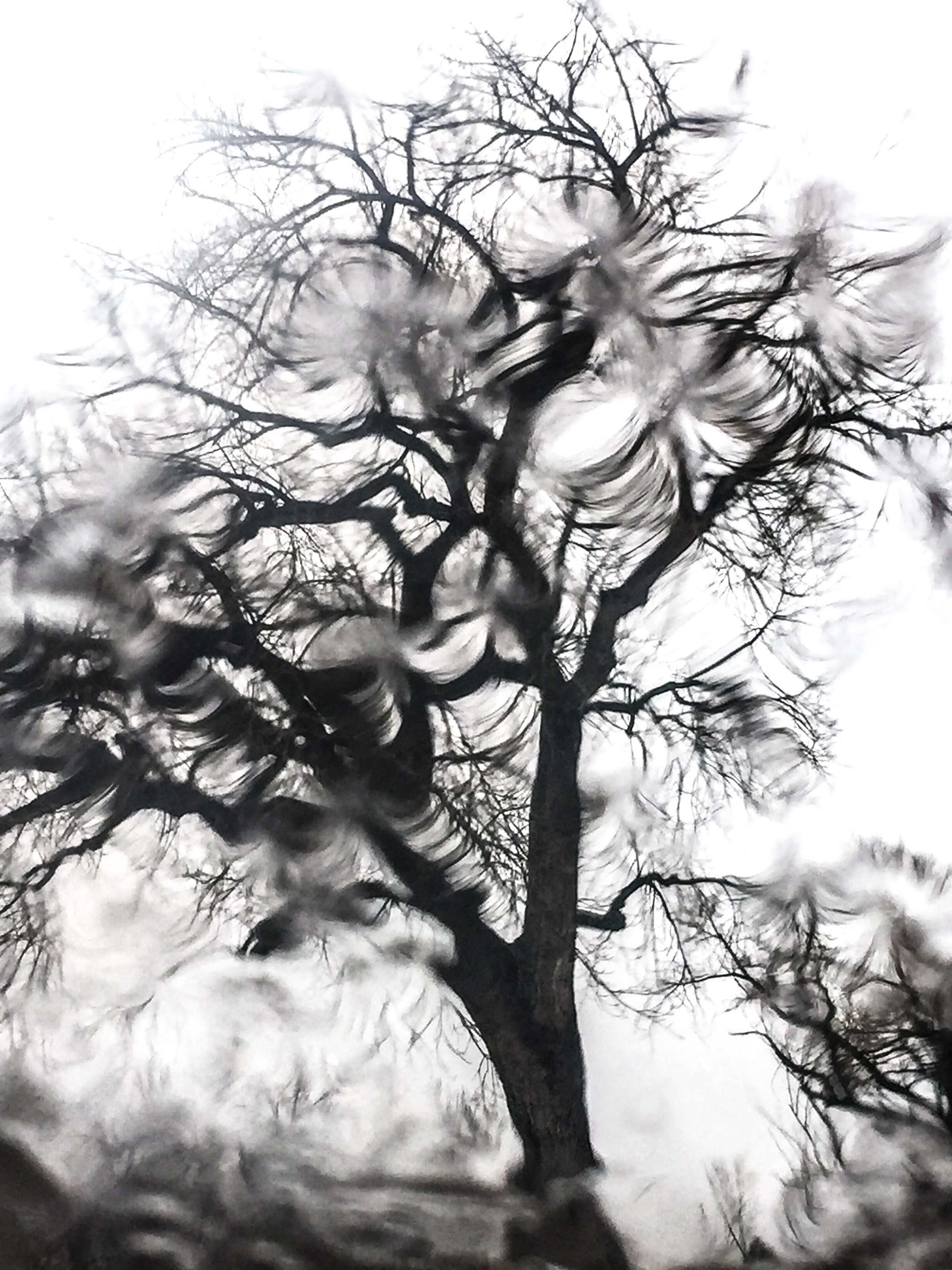 No 1.  Storm approacing 