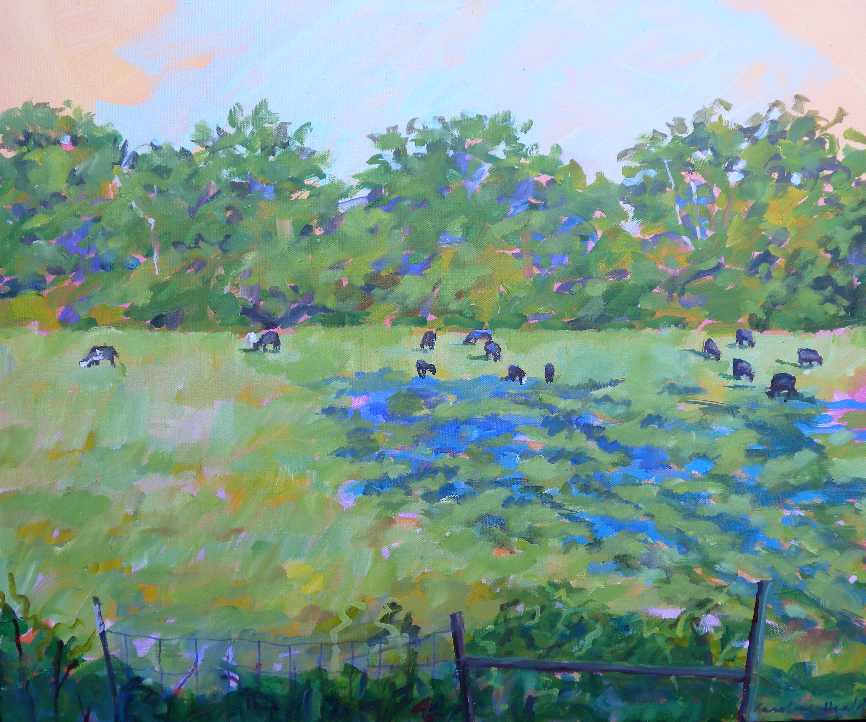 OIL ON CANVAS 20X24 FRAMED $850 COWS AND BLUE SHADOWS