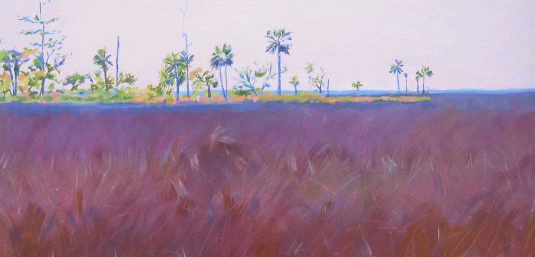 OIL AND OIL PASTEL ON CANVAS 18X36 UNFRAMED  $850 SALT MARSH FROM WALNUT POND