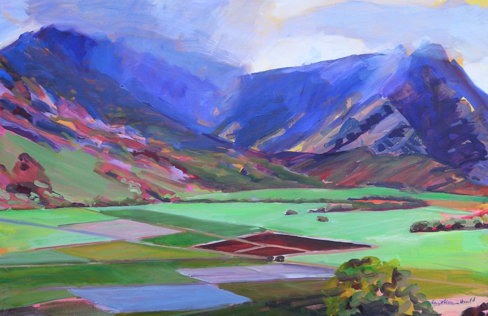TARO FIELDS
