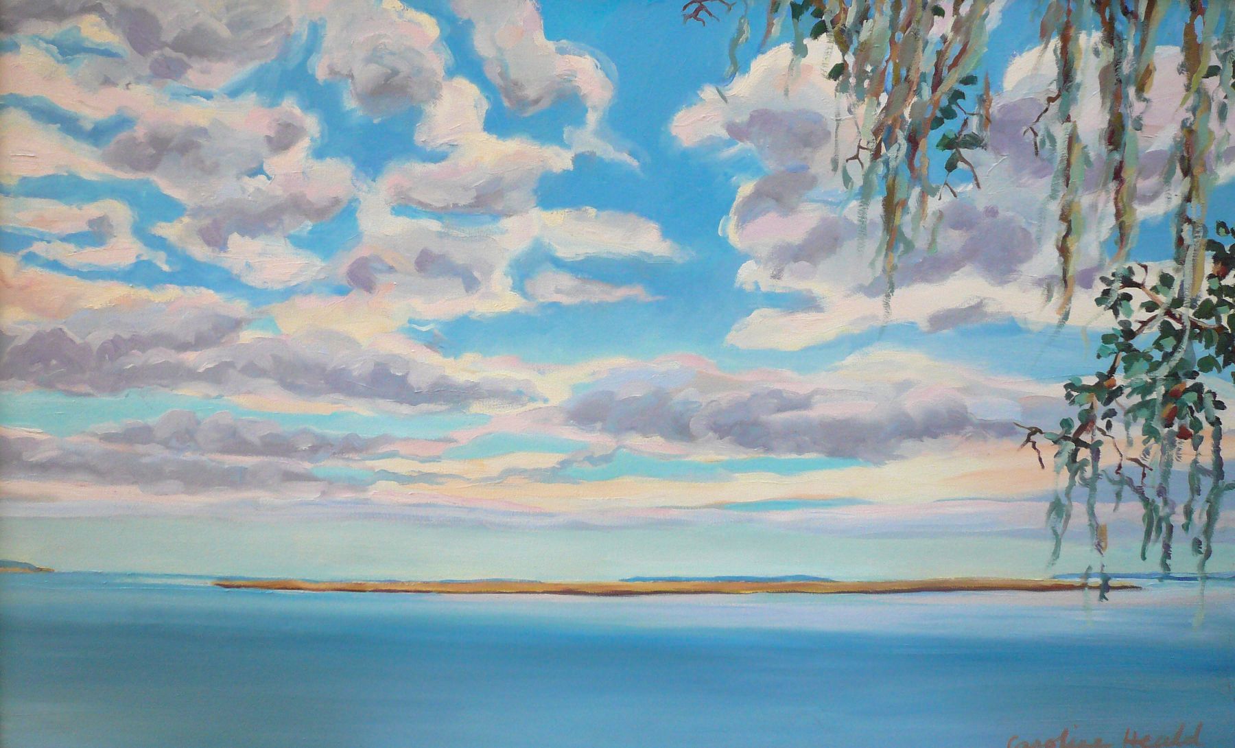 OIL ON CANVAS 30 X 48  UNFRAMED $1300 FIELDS PONT #3