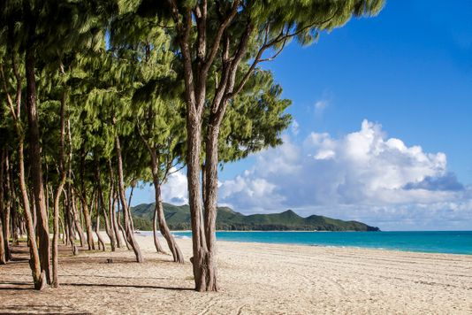 Waimanalo, Hi Bellows Beach
