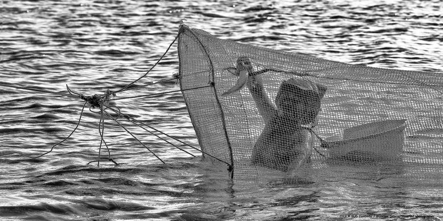 por rieng1°_0507.jpg