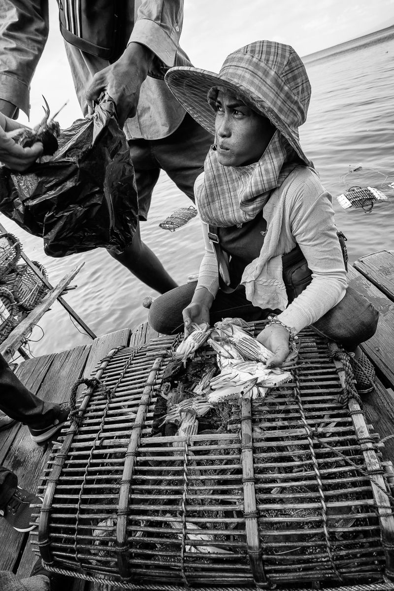 lady crabs 3_0039.jpg