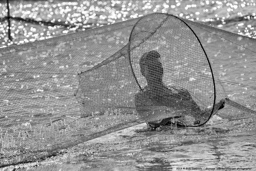 por rieng1°_0525.jpg