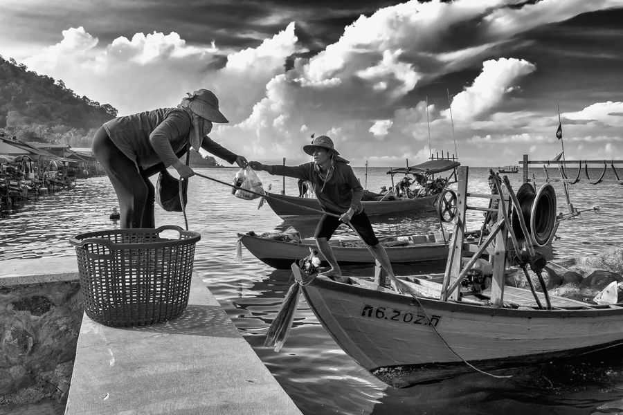 lady crabs 4_0109.jpg