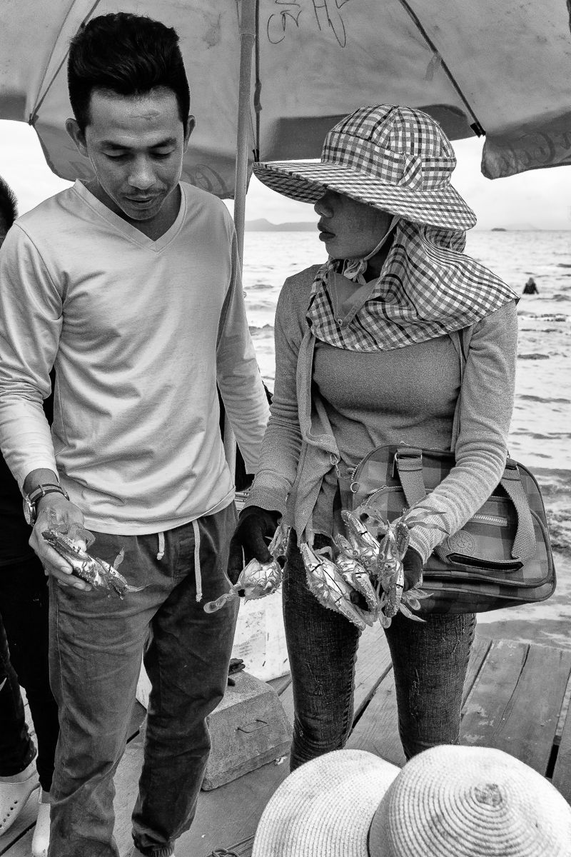 lady crabs 2_0474.jpg