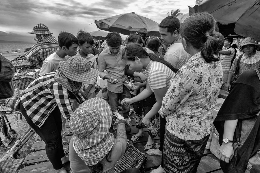 lady crabs 2_0443.jpg