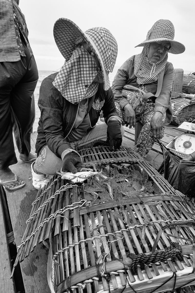 lady crabs 2_0183.jpg