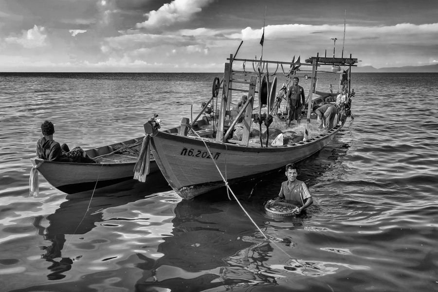 lady crabs 4_0129.jpg