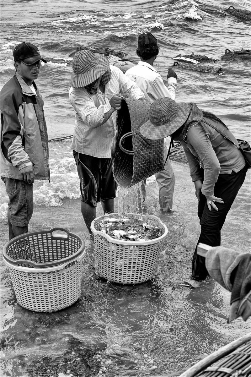 lady crabs 2_0107.jpg