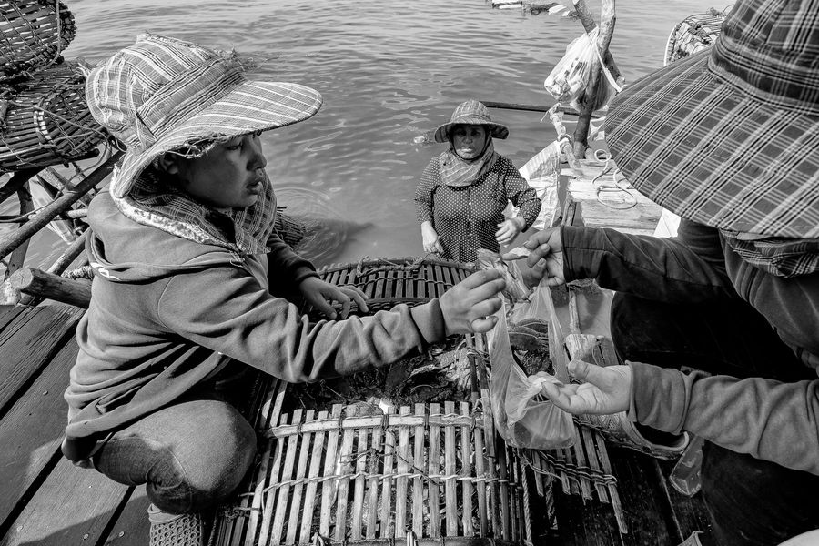 lady crabs 2_0021.jpg