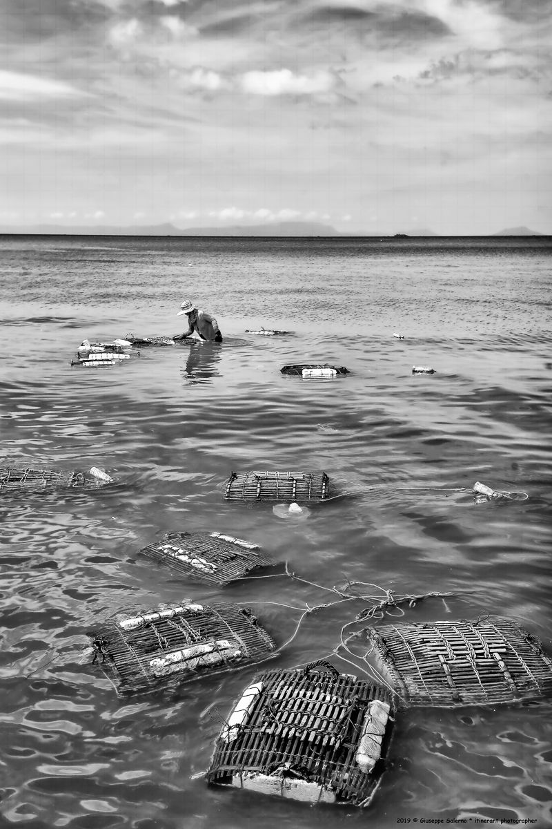 lady crabs 3_0005.jpg