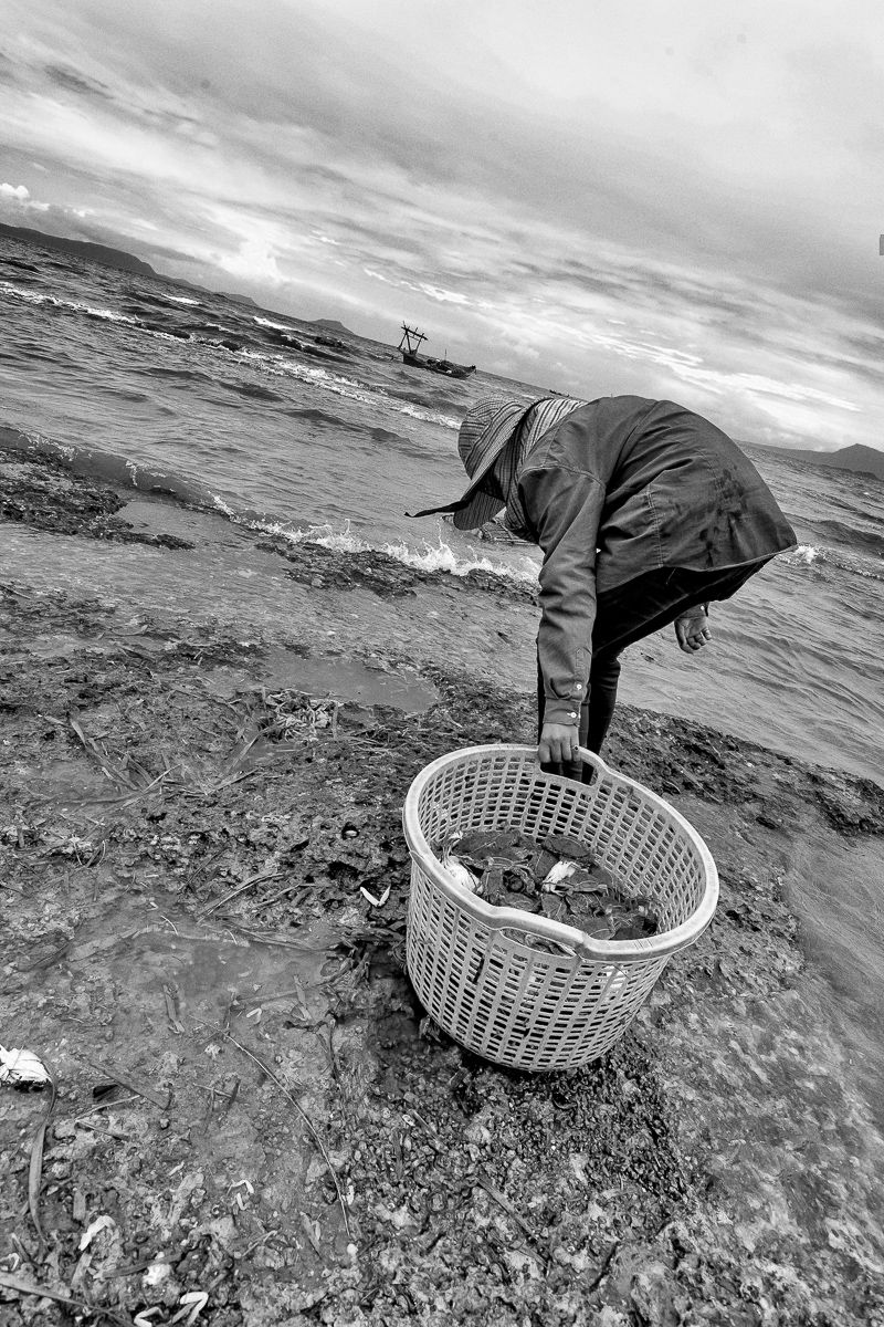 lady crabs 2_0247.jpg