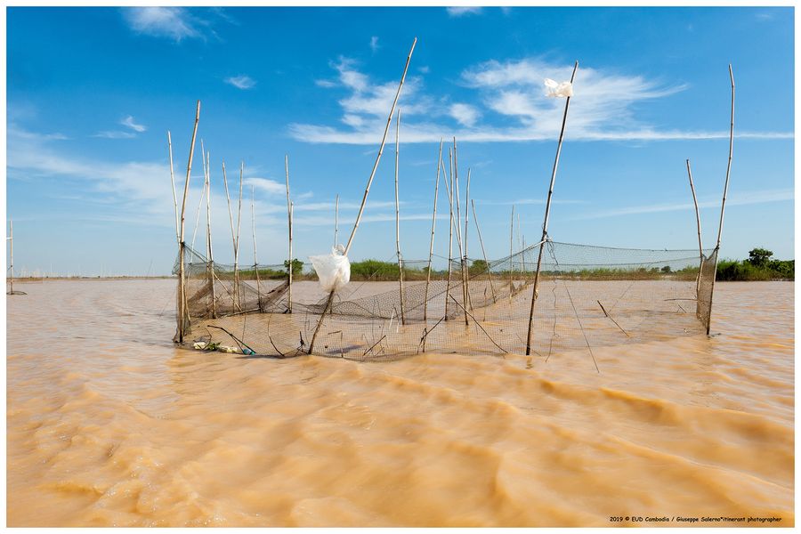 por rieng1°_0694.jpg