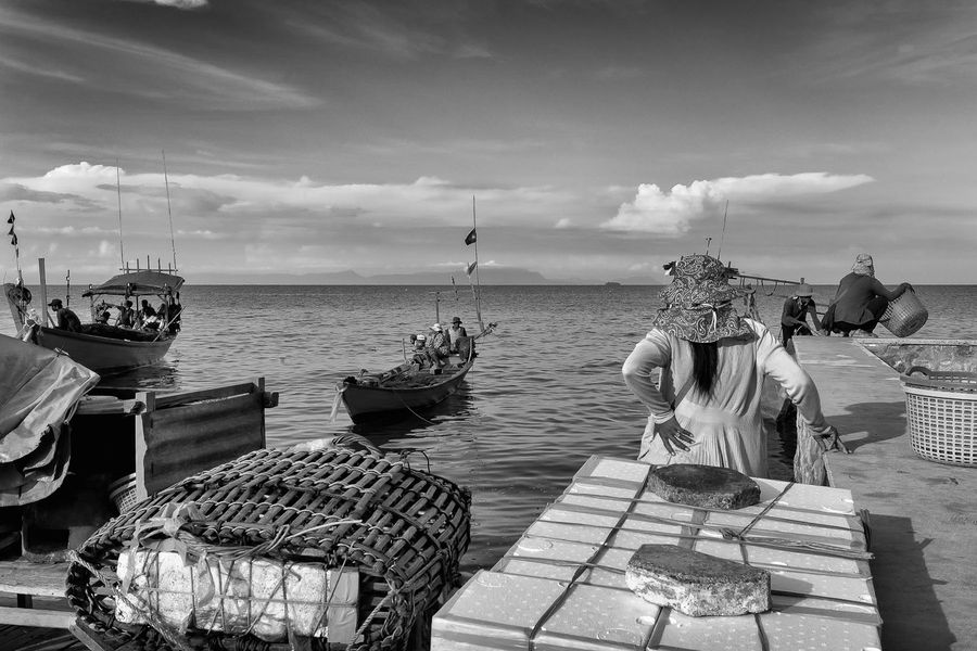 lady crabs 4_0099.jpg