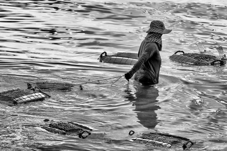 lady crabs 3_0081.jpg