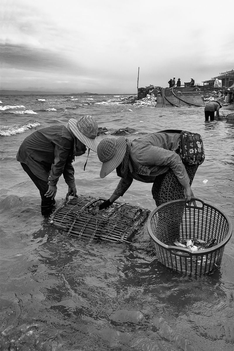 lady crabs 2_0270.jpg