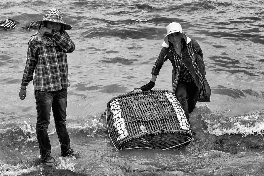 lady crabs 2_0086.jpg