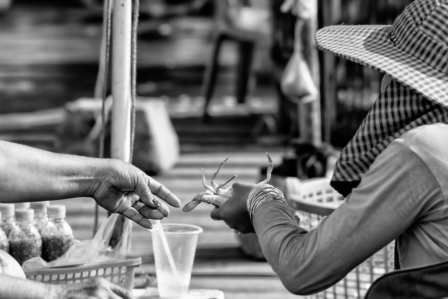 lady crabs 3_0075.jpg