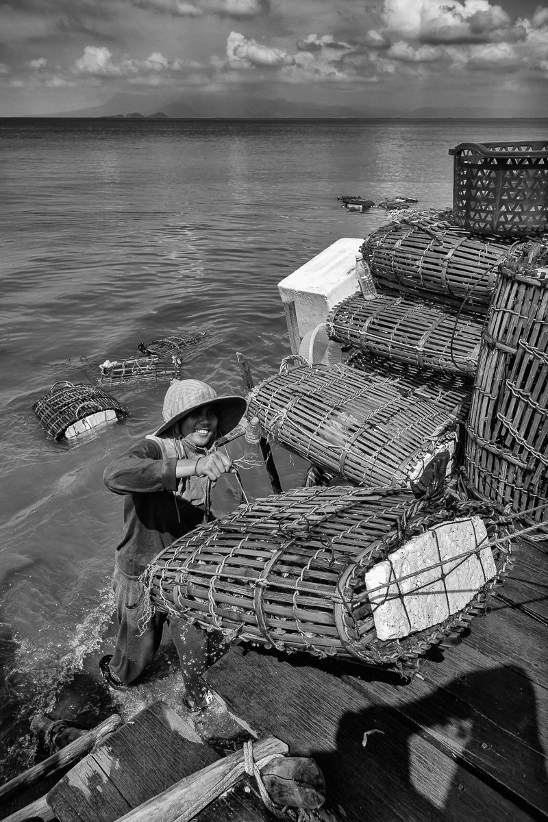 lady crabs 3_0051.jpg