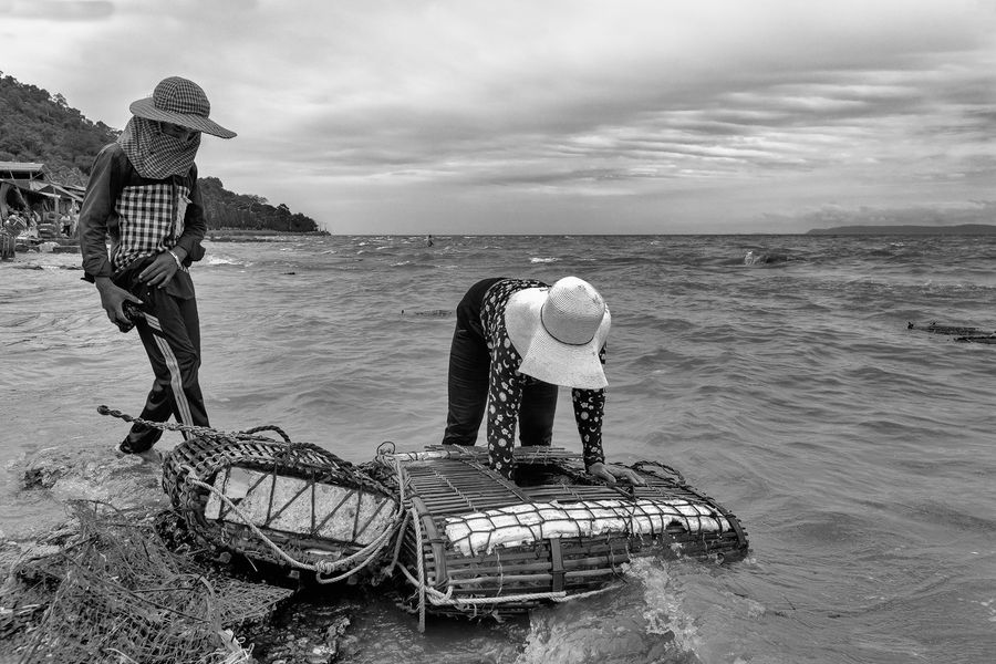 lady crabs 3_0194.jpg