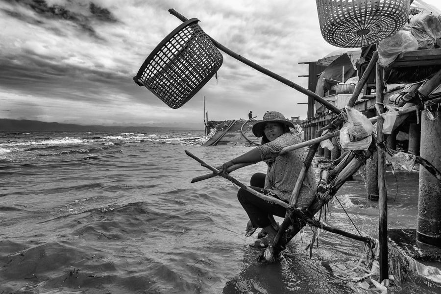 lady crabs 2_0359.jpg