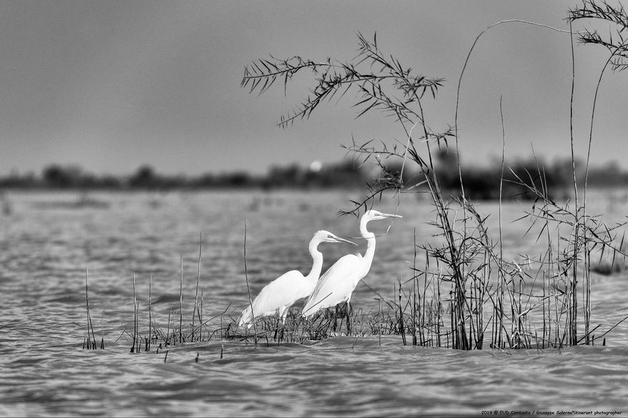 por rieng2°_0053.jpg