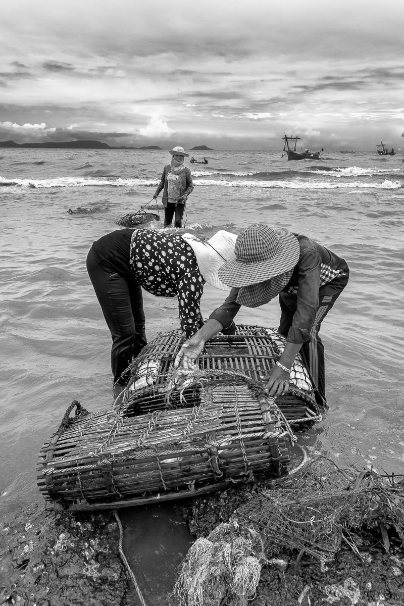 lady crabs 2_0251.jpg