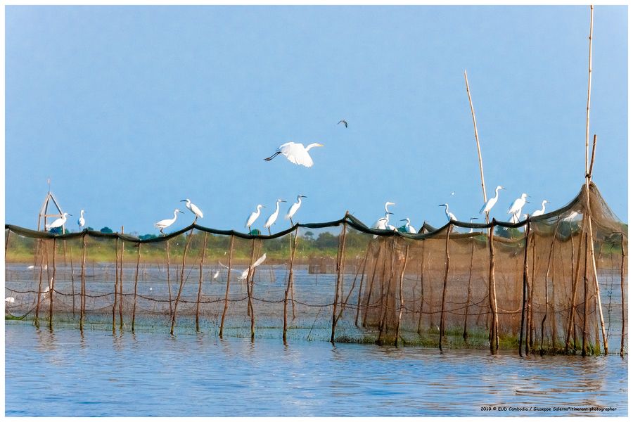 neang leav2°_0454.jpg