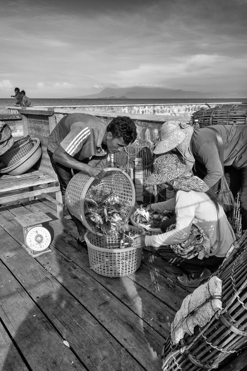 lady crabs 4_0137.jpg