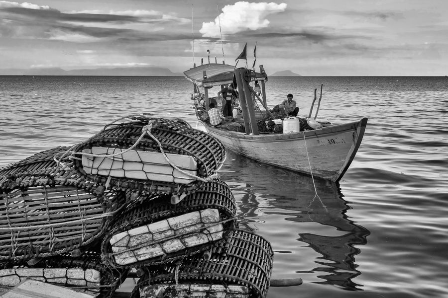 lady crabs 4_0014.jpg